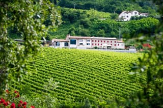 Ca' Piadera Wine Relais