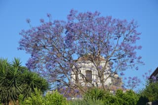 B&B Vicolo del Chiostro