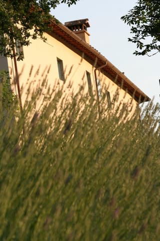 Bioagriturismo Podere Montisi