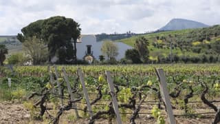 Fattoria Manostalla