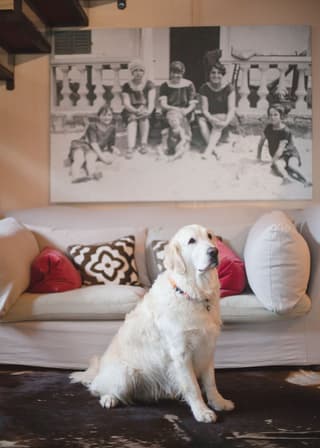 Le Nicchie Guest House