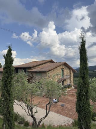 Casa M Vineyard